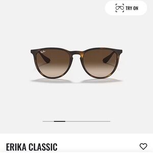 Erika Classic Ray Bans